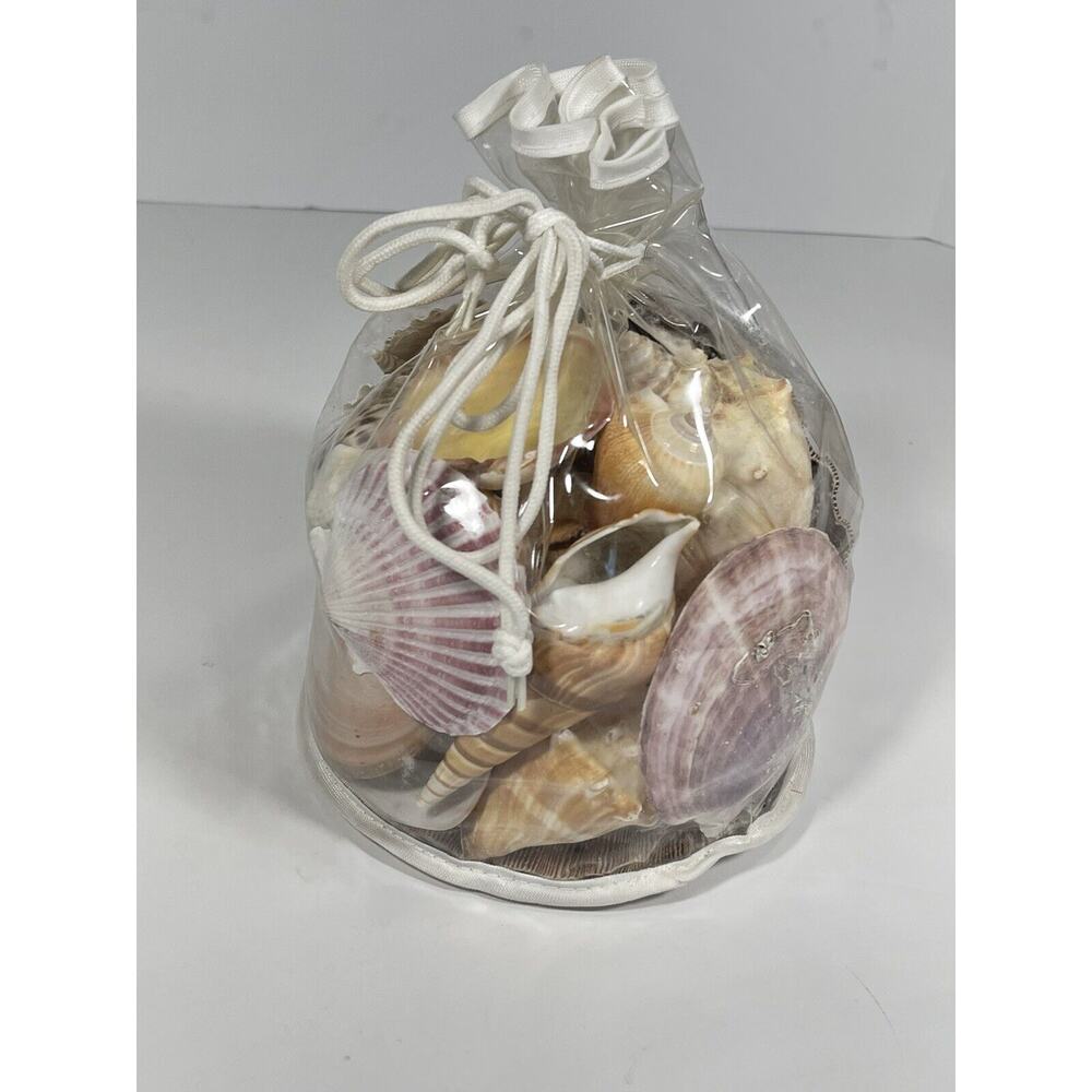 Designer‎ Shell Gift Bag With 25 Count Seashells From Mexico India Philippines